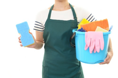 Upholstery cleaning equipment for a Shoreditch sofa